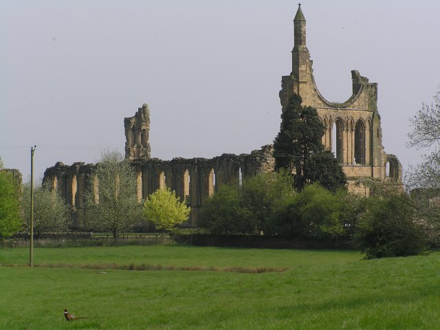 The ruins of Byland Abbey, a 12th-century Cistercian monastery in North Yorkshire, England, now managed by English Heritage