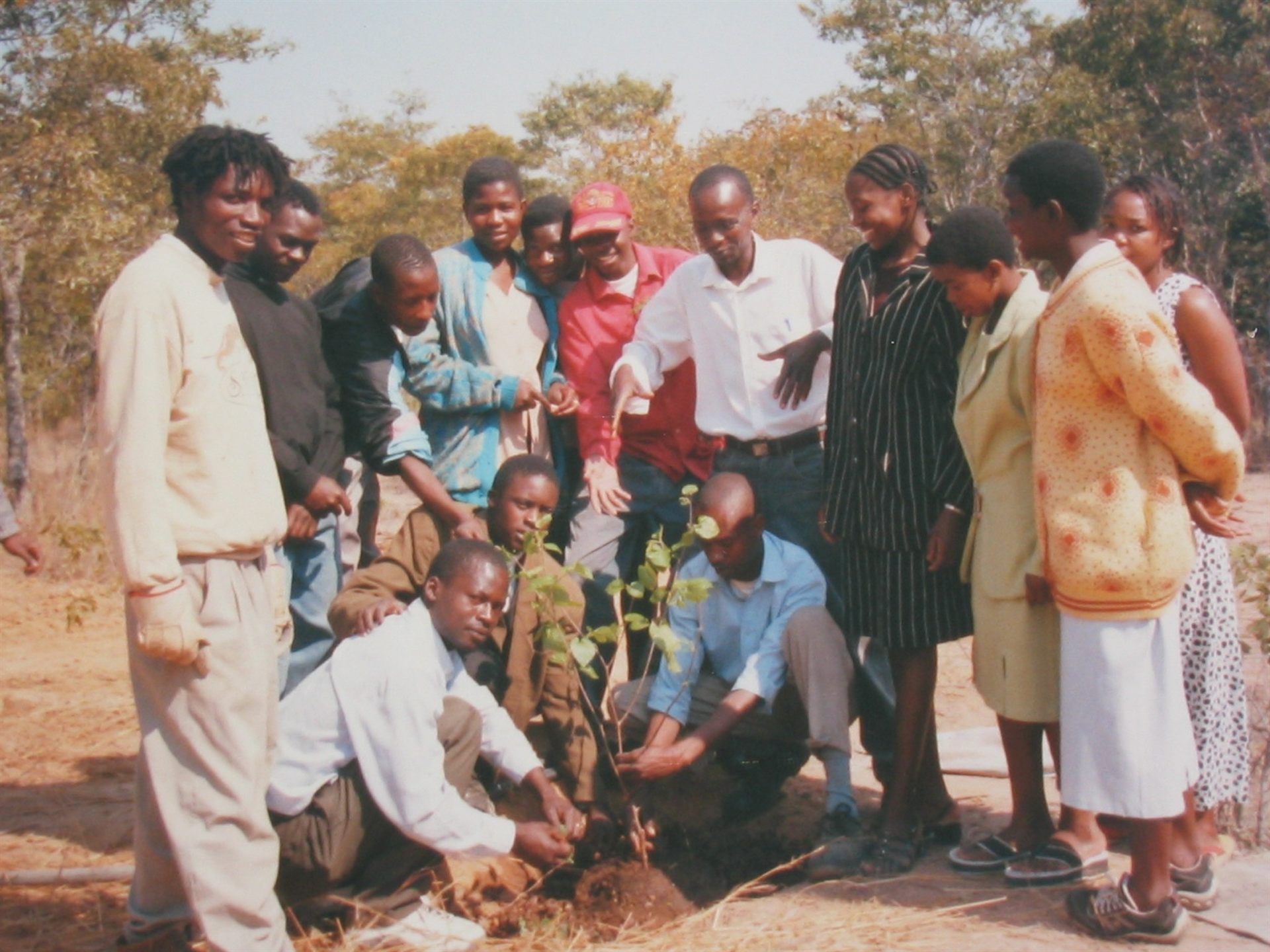 Community members and schoolchildren planting a tree amid dry highveld scrubland and Msasa trees in Ruwa, Zimbabwe, the same town where the Ariel School encounter took place (photographed 2003)