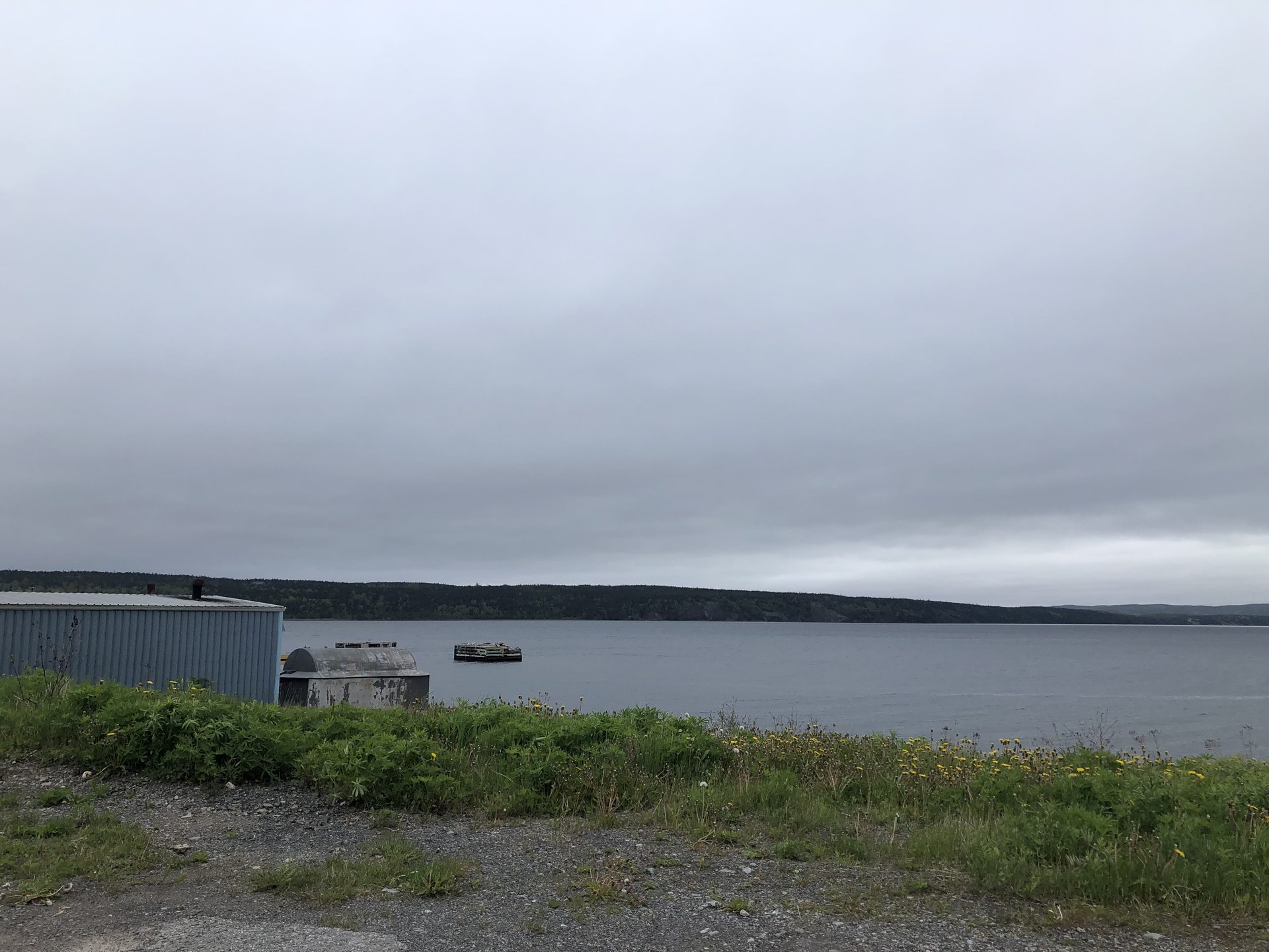 Random Island seen across the water from Clarenville, Newfoundland and Labrador — the stretch of Random Sound where the 1978 UFO was reported hovering