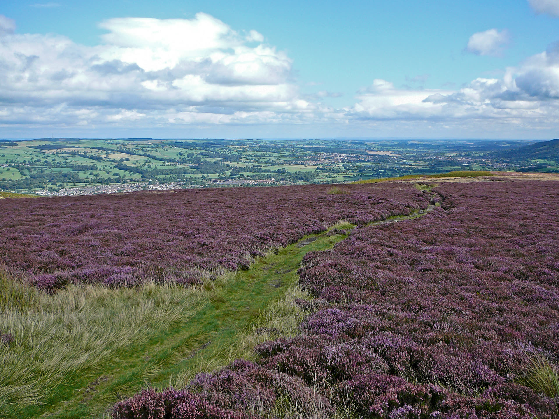 Heather moorland on Ilkley Moor, West Yorkshire, looking down toward the town of Ilkley in Wharfedale — the location of the 1987 encounter, not the disputed photograph itself
