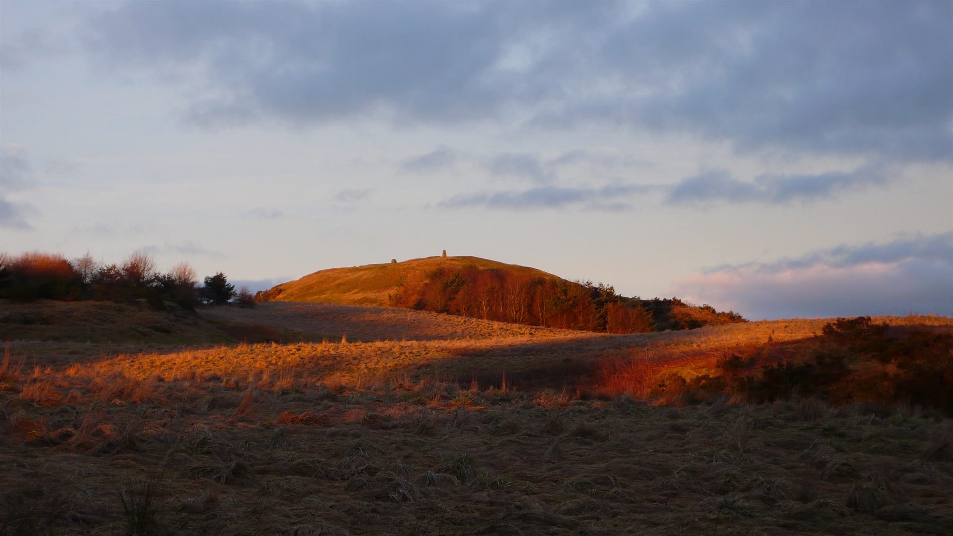 Dechmont Law, the wooded hill on the edge of Deans Forest near Livingston, West Lothian, Scotland, where Robert Taylor's November 1979 encounter took place. This photograph shows the hill and its surrounding woodland today, not the exact clearing or the encounter itself.