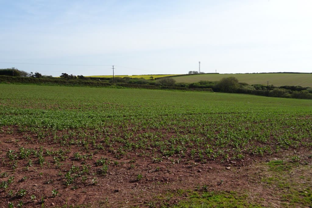 Farmland near St Ishmael's, Pembrokeshire, Wales, close to the site of Ripperston Farm