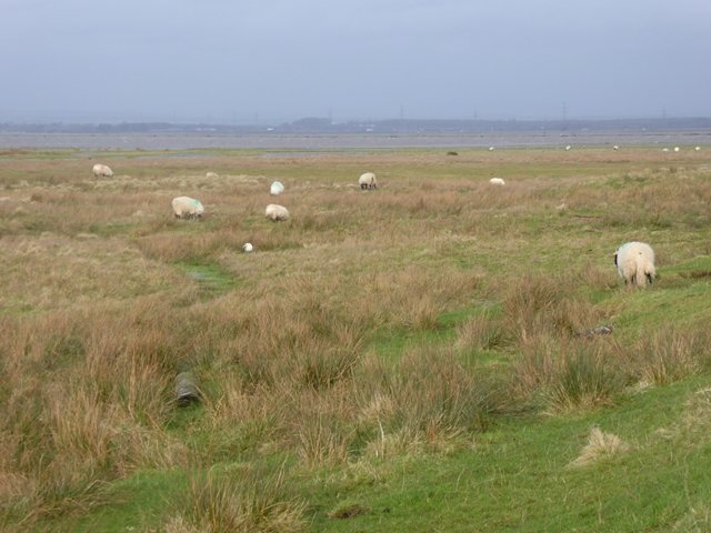 Burgh Marsh and the Solway Firth, near Burgh by Sands, Cumbria, the tidal marshland where the 1964 photograph was taken