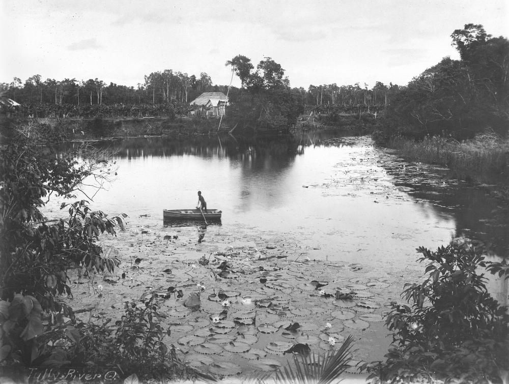 Lily Lagoon, a backwater of the Tully River near Tully, Queensland, photographed circa 1910 — illustrating the swampy lagoon terrain characteristic of the district, though not the actual Horseshoe Lagoon site of the 1966 sighting, for which no public-domain photograph is known to survive