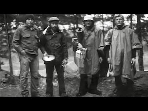 Eyewitness Accounts to the 1976 Allagash Encounter