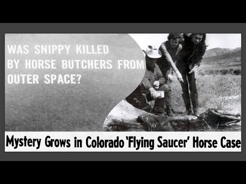 Snippy the horse owner Nellie Lewis talks about the bizarre early cattle mutilation case, 1967