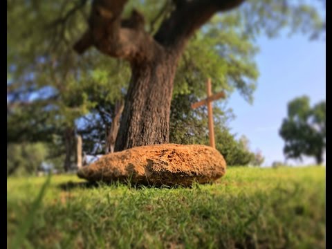 On-Site Visit: Aurora, Texas Crash & Burial Site