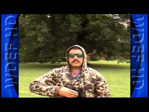 From The Archives: UFO Hunting in Fyffe Alabama